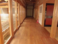 Medium_cimg8908