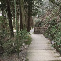 Medium_入口付近