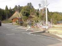 Medium_cimg9661