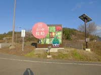 Medium_cimg6708