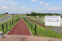 Medium_img_3919