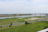 Medium_img_3862
