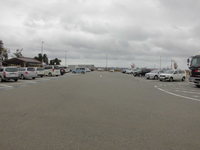 Medium_133