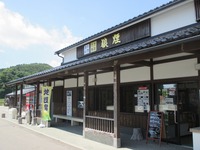Medium_img_1304