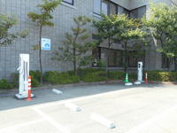 Medium_dscn1110
