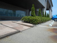 Medium_dscn1086
