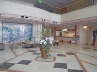 Medium_cimg8648