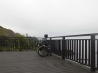 Medium_cimg6760