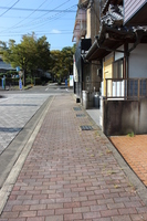 Medium_img_4451