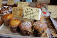 Medium_img_4402