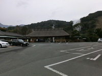 Medium_cimg0600