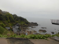 Medium_cimg6762