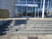 Medium_img_1806