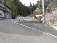 Medium_cimg9666