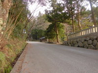 Medium_cimg9480