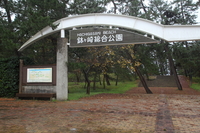 Medium_img_0567