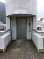 Medium_cimg0664