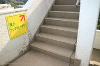 Medium_img_2501
