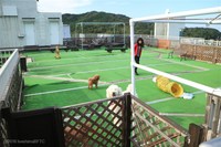 Medium_img_2502