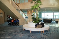 Medium_img_2515