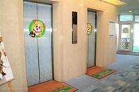Medium_img_2507