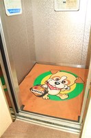 Medium_img_2319
