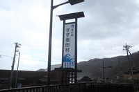 Medium_img_0632