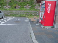 Medium_cimg6796