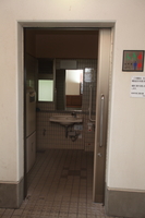 Medium_img_0637