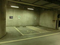 Medium_cimg0132