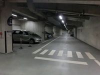 Medium_cimg0138