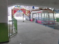 Medium_cimg0399