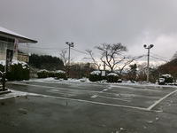 Medium_cimg0622