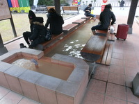 Medium_cimg0053