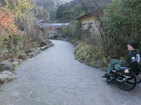 Medium_cimg0079
