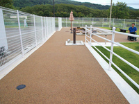 Medium_p1011941