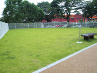 Medium_p1011949