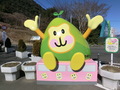 Thumb_cimg0030