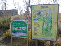 Medium_cimg1807