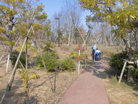 Medium_cimg1802