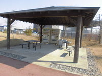 Medium_cimg1794