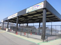 Medium_cimg1768