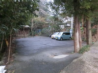Medium_cimg0349