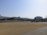 Medium_cimg1789