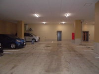 Medium_cimg8367