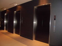 Medium_cimg8324