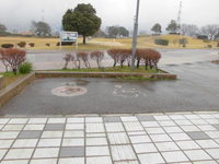 Medium_cimg8835