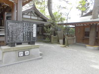 Medium_cimg2488
