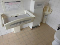 Medium_cimg2451