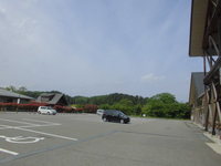 Medium_cimg9318